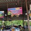 ตลาดไทยสามัคคี (วังน้ำเขียว)