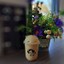 Siri Cafe