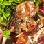 ส้มตำป้าน้อย