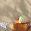 TERRA Cafe