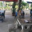 ส้มตำน้องเฟิร์น(หน้าจุรีเวช)