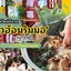 แจ่วฮ้อนริมมอขามเรียง สาขา มมส.ใหม่