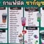 กาแฟชากัญชา