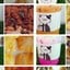 Funny cat coffee กาแฟสด,ชา,นม,ขนมปังปิ้ง