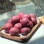 Lilyn Cafe ขนมไข่นก น้ำปั่น นครปฐม