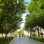 Columbia University