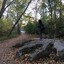 Great Fall Park