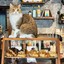 Clever Cafe'