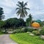 ไร่ระเบียงส้ม - Fruit Terrace Garden Cafe ริมกก