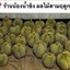 ร้านน้องน้ำขิง ผลไม้ตามฤดูกาล