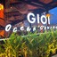 GIOI Ocean Gourmet
