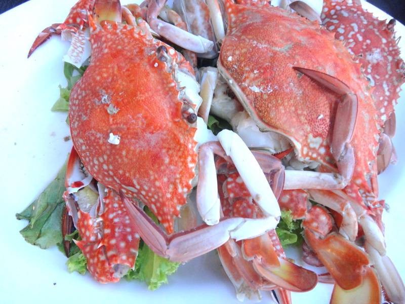 ปูม้านึ่ง