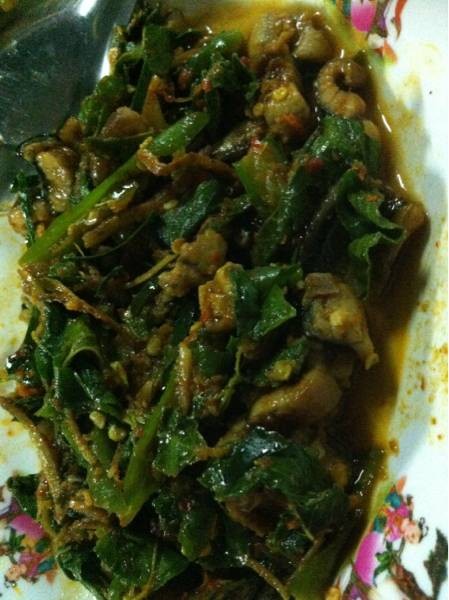 อาหารป่า ป้าแม๋ว