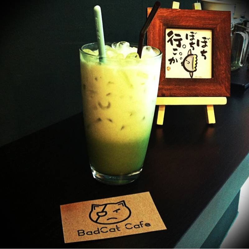 Iced Green Tea Latte 