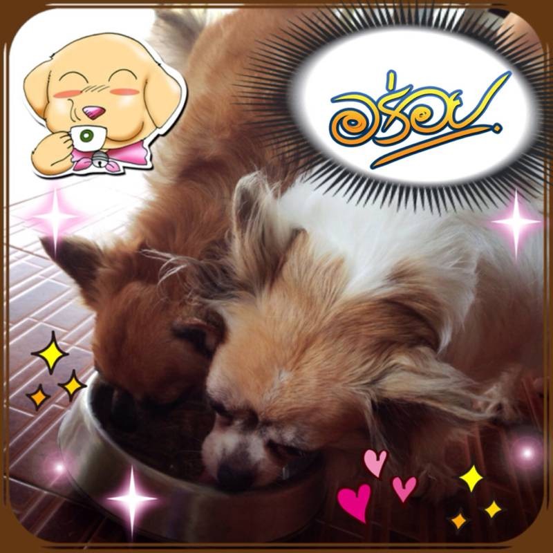 หนูกินสูตรพี่ฟู(เป็นสูตรเฉพาะตัวคะ>หวานกว่าปกติ)