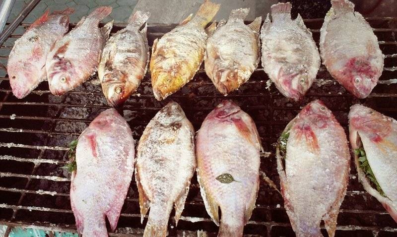 เขาขายได้วันละหลายสิบตัวทีเดียว บางทีปิ้งกันแทบไม่ทัน