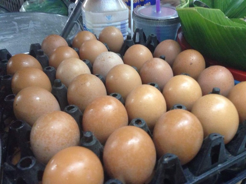 ไข่พร้อม