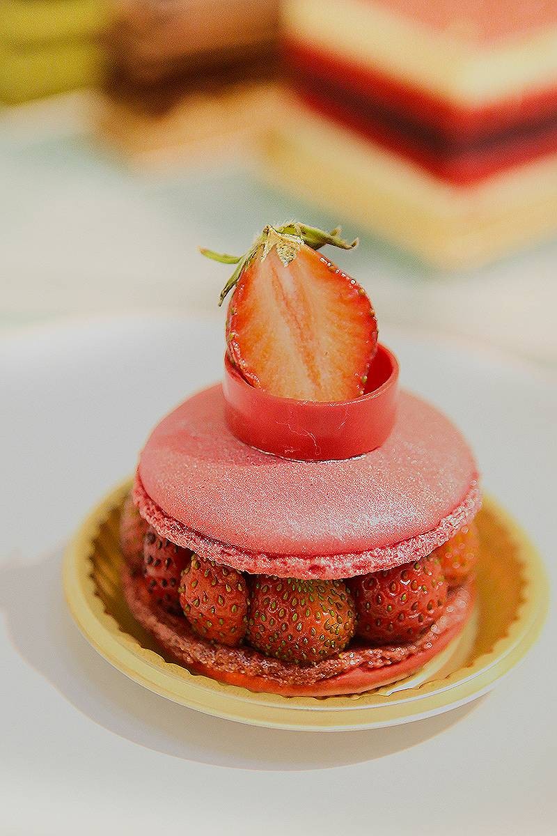 Strawberry Macaron 