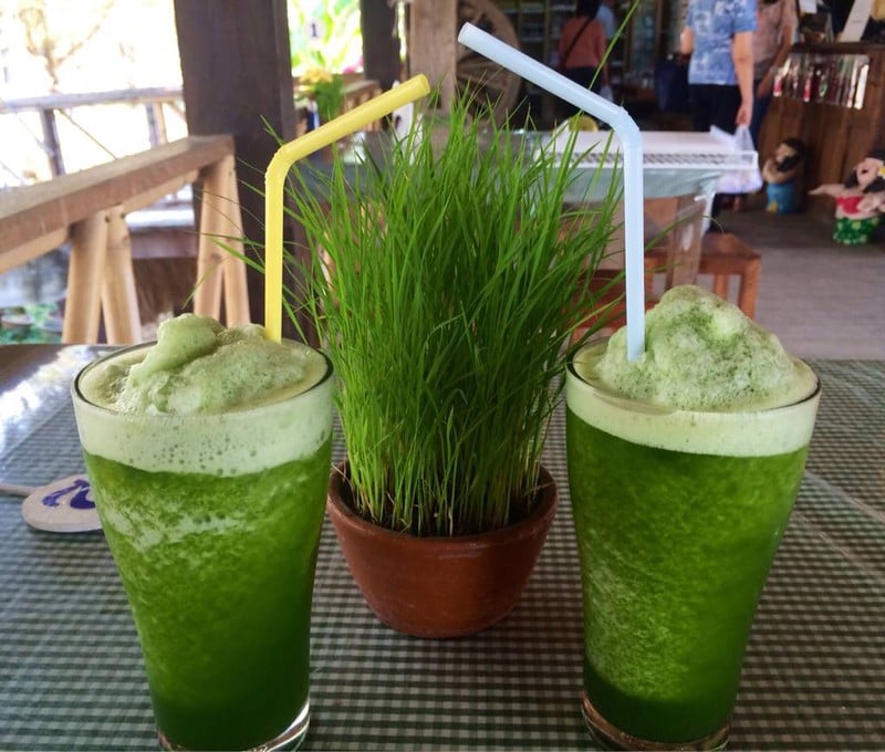 น้ำใบข้าวปั่น หวานกำลังดี หอมกลิ่นข้าวอ่อนๆ