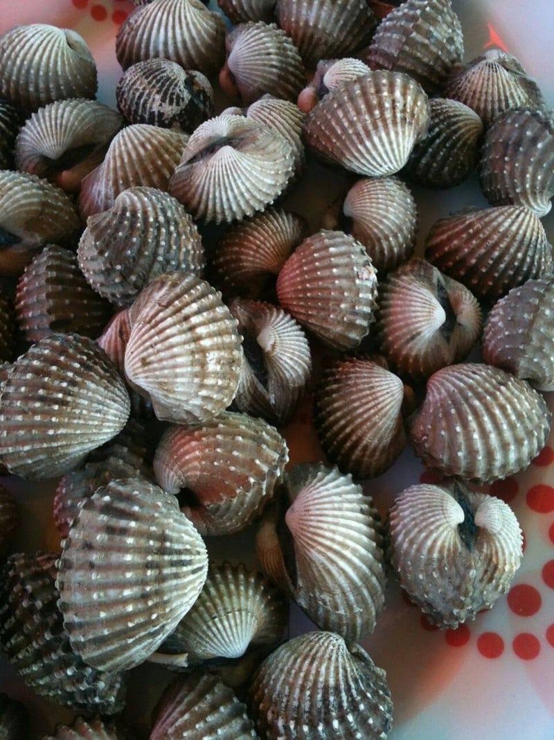 หอยแครงลวก สุกแบบซิบๆ กำลังกินดีเลยหละ อิอิ ^^