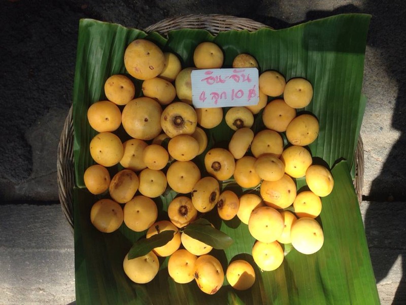 ลูกจัน