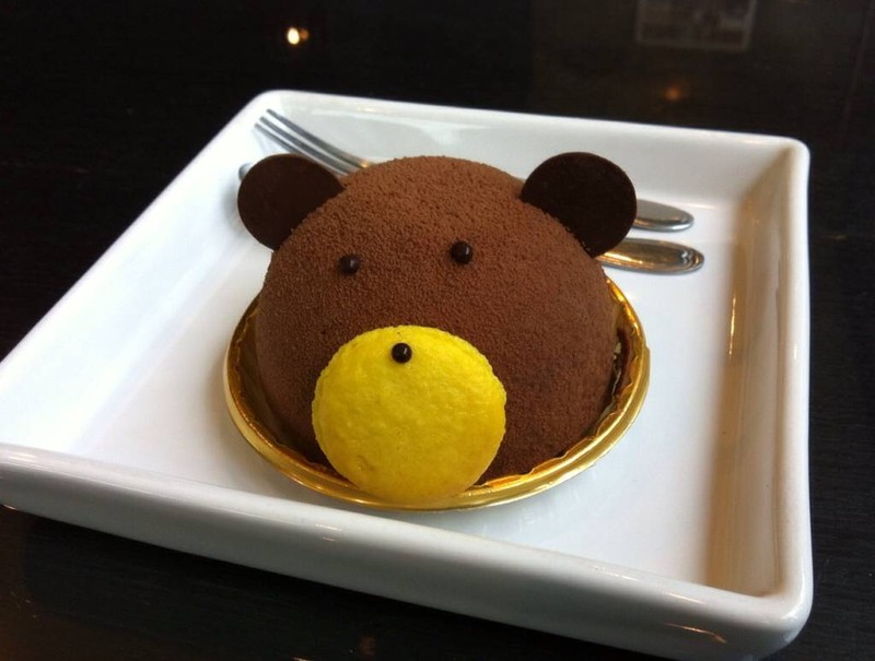 Teddy Chocolate Lava