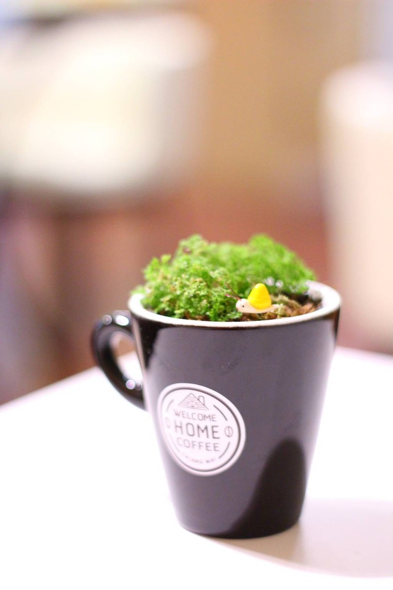 มุมสวยๆภายในร้านนี้