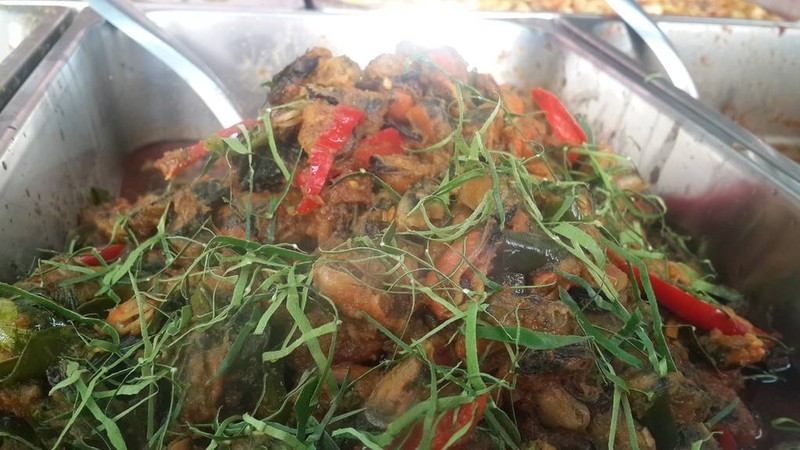 ข้าวแกงพัชชา