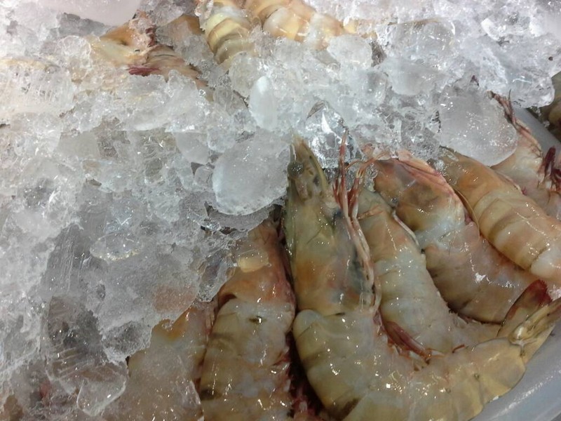 กุ้งแชบ๊วย ป้ายตั้งไว้ 750 บาท ต่อได้ 500 บาทต่อกิโลกรัม