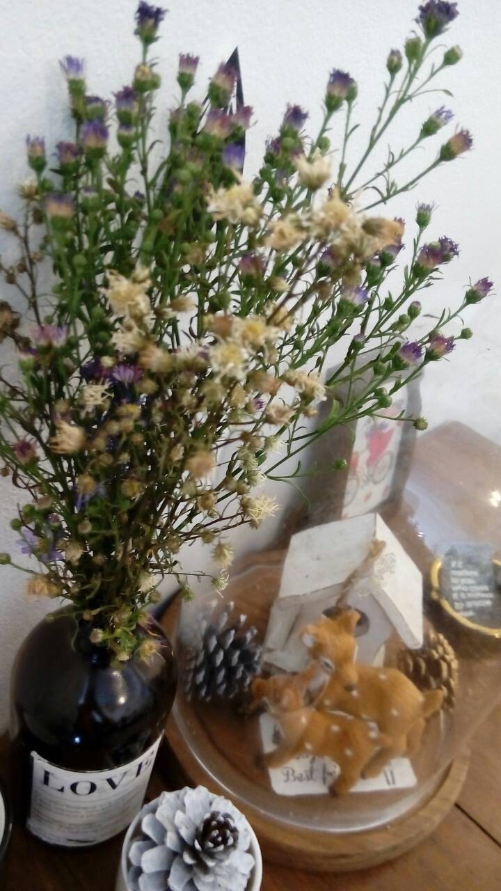 มุมเก๋ๆ