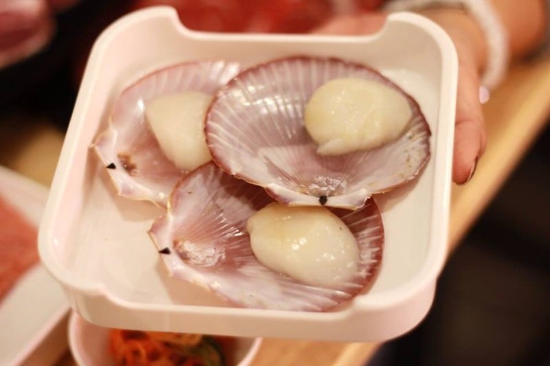 หอยเชลล์