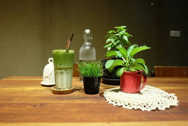 มัชชะลาเต้เย็น ถ่ายคู่กับต้นไม้บนโตะ