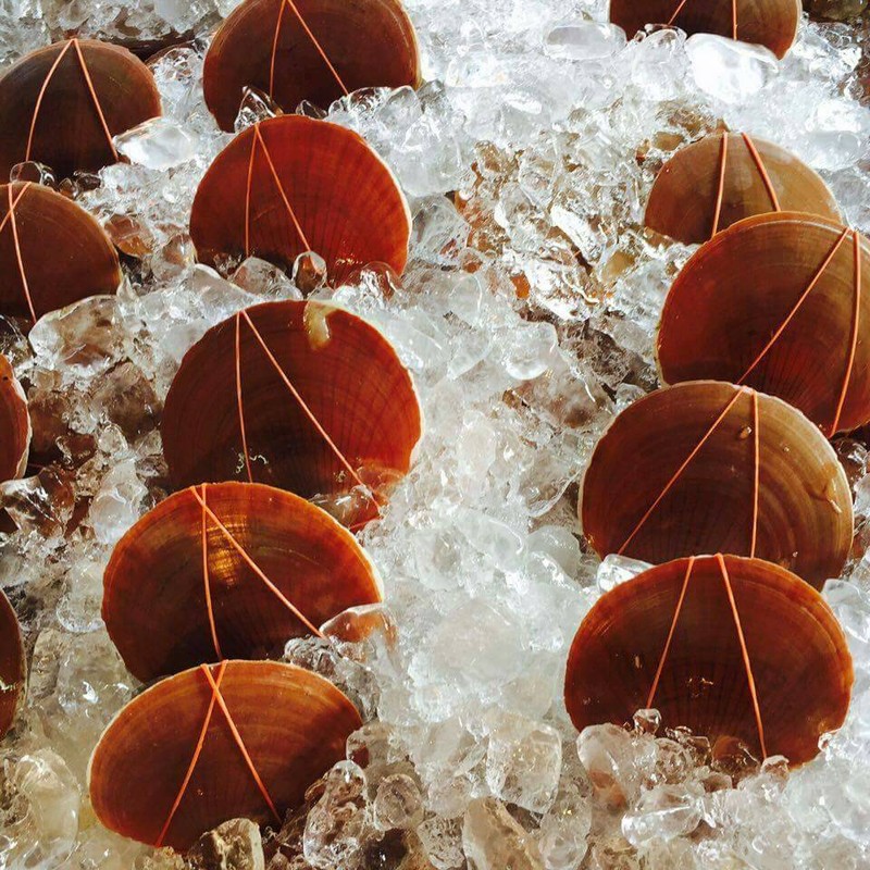 หอยเชลล์เผา หวานๆ ราดมากะรีนท้อปปิ้งกระเทียม