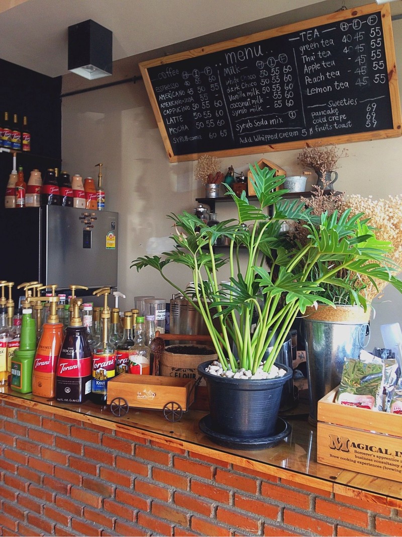 คนชงแอบอยู่หลังขวด