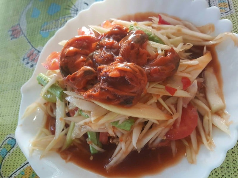 หอยดองตัวใหญ่มากค่ะ ไม่จู๊ดๆ ไม่ซ่า