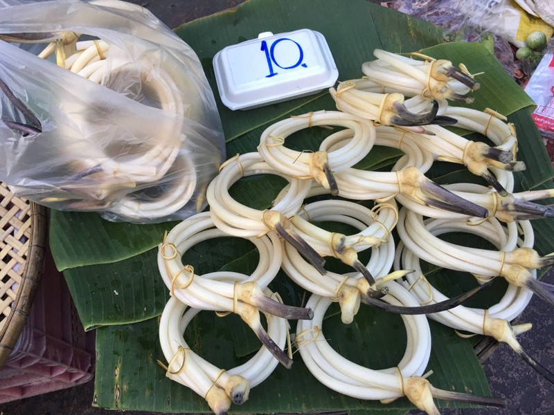 ไหลบัว รู้จักกันป่าว