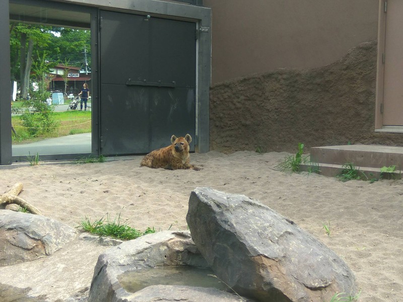 maruyama zoo