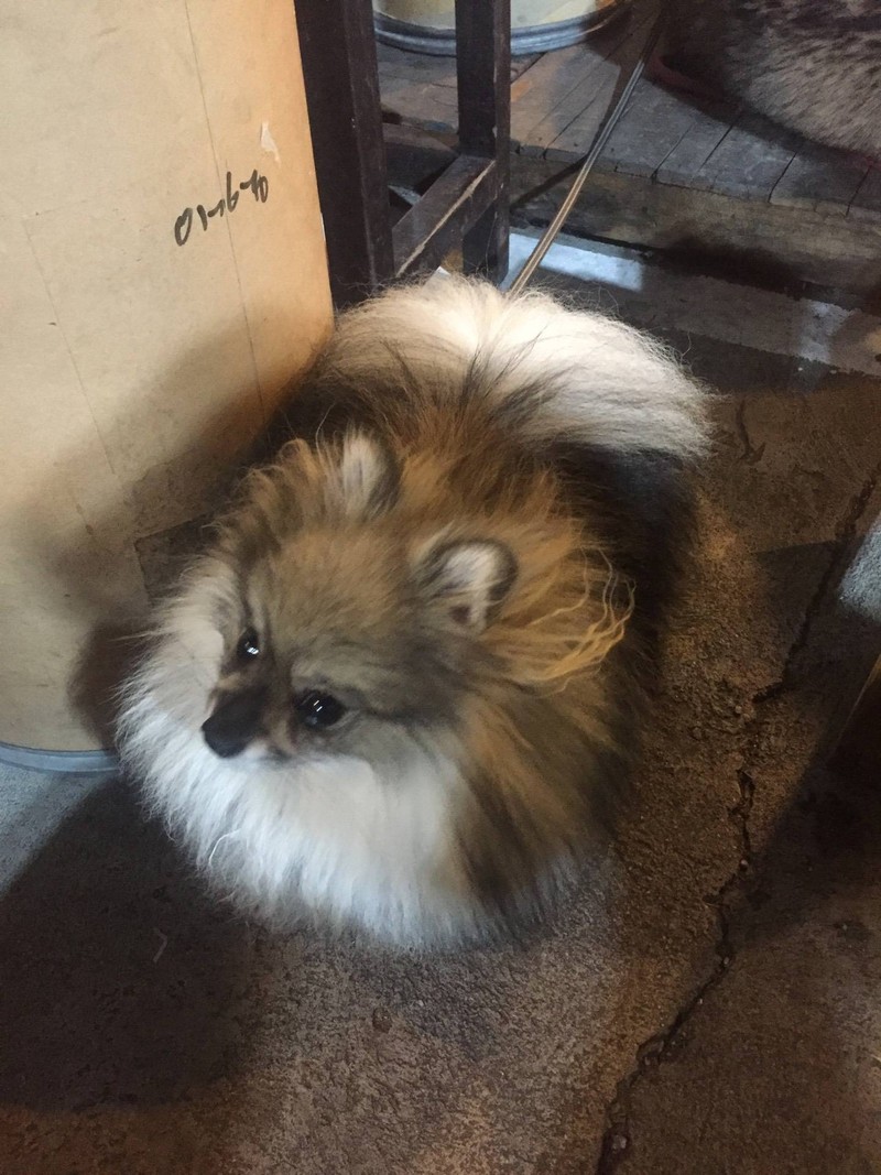 คุณแมรี่ ร้านข้างๆฟูๆ