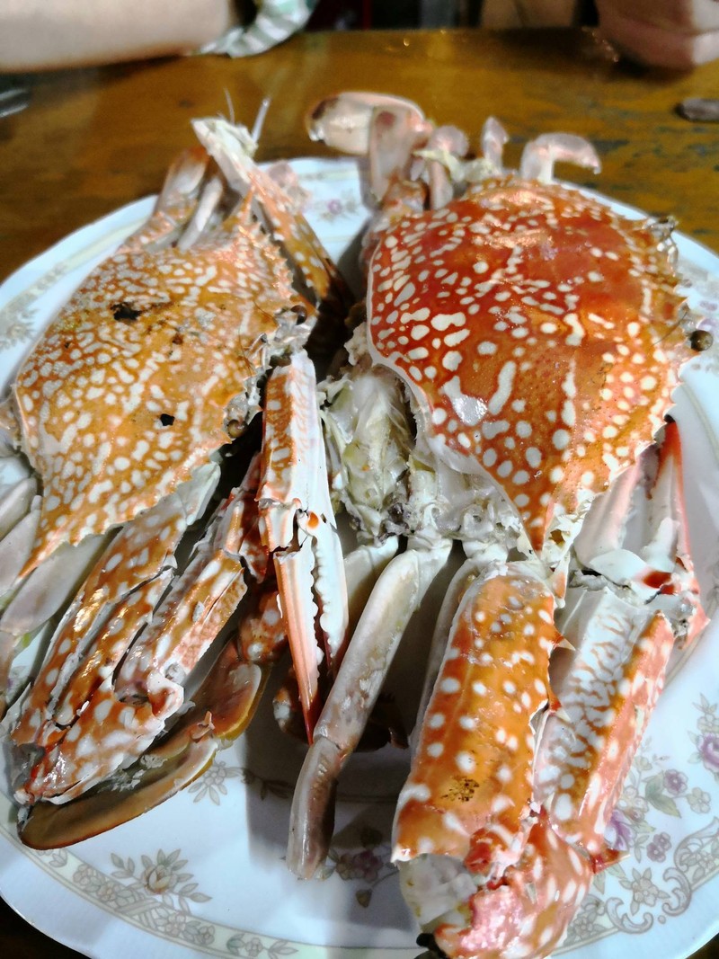 ปูน่าจะผ่านมาหลายวันแล้ว