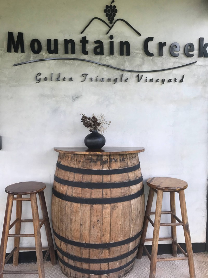 Mountain Creek vineyard