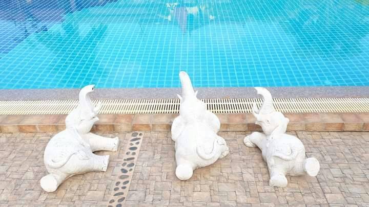 สระว่ายน้ำขนาดใหญ่