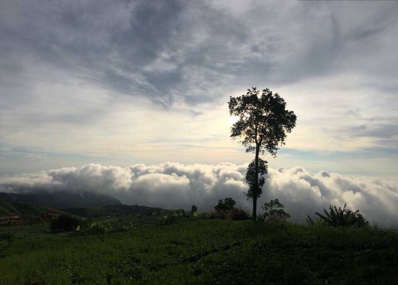 วิวหน้าเตนท์