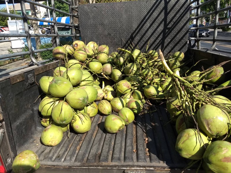 ร้าน น้ำมะพร้าวDelivery (CoconutDelivery) เต้นรถมือ2 (ตรงข้ามศูนย์ MG