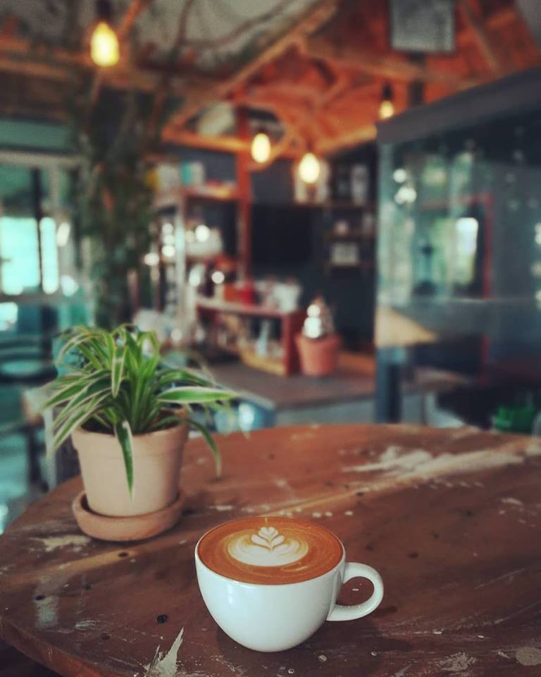 เปิดประสบการณ์ กาแฟเชียงราย กาแฟไทย