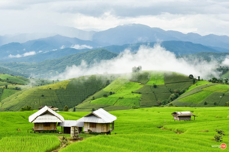 บ้านป่าบงเปียง หน้าหนาว ดอยอินทนนท์ แม่แจ่ม เชียงใหม่ ที่เที่ยวเชียงใหม่