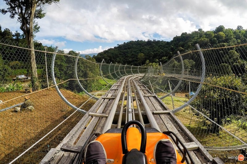 Pongyang Jungle Coaster & Zipline ม่อนแจ่ม แม่ริม เชียงใหม่