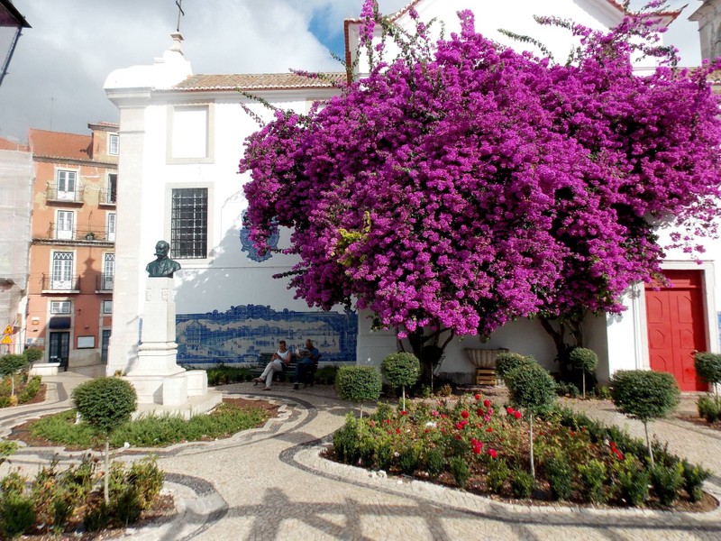 สวนหย่อม Jardim Júlio de Castilho 