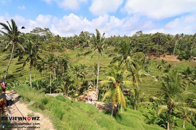 ชมวิวสวยๆ