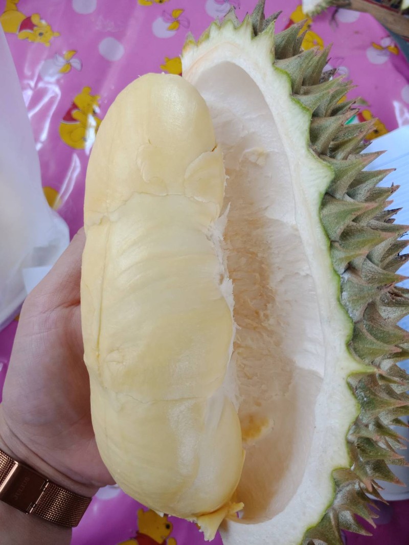 ทุเรียนหมอนทอง
สดๆจากสวน จ.จันทบุรี
คัดเอง เนื้อดี กรอบนอก นุ่มใน 
