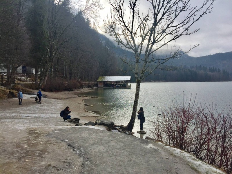 Alpsee 
